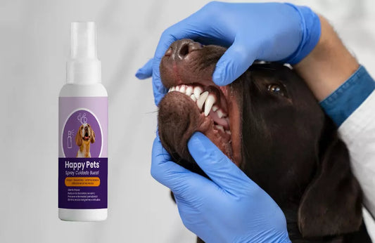 SPRAY CUIDADO BUCAL MASCOSTAS